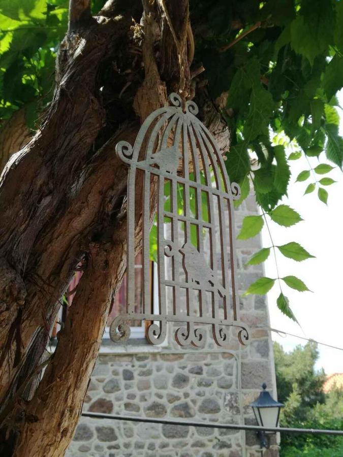 Μαχη Ενοικιαζόμενα Δωμάτια ミシナ エクステリア 写真